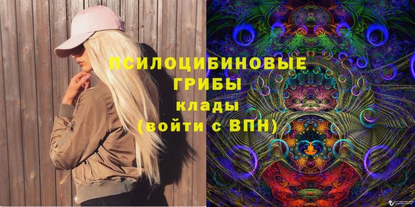 мяу мяу мука Аркадак