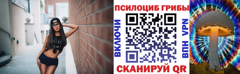 даркнет как зайти  кракен сайт  Ухта  Галлюциногенные грибы Psilocybine cubensis 